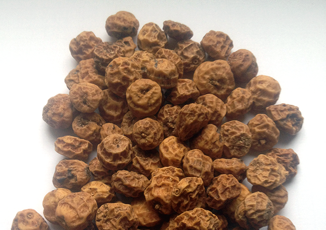 La chufa - die Erdmandel