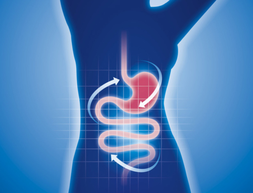 Jetzt auch „Fachberaterin für Darmgesundheit“