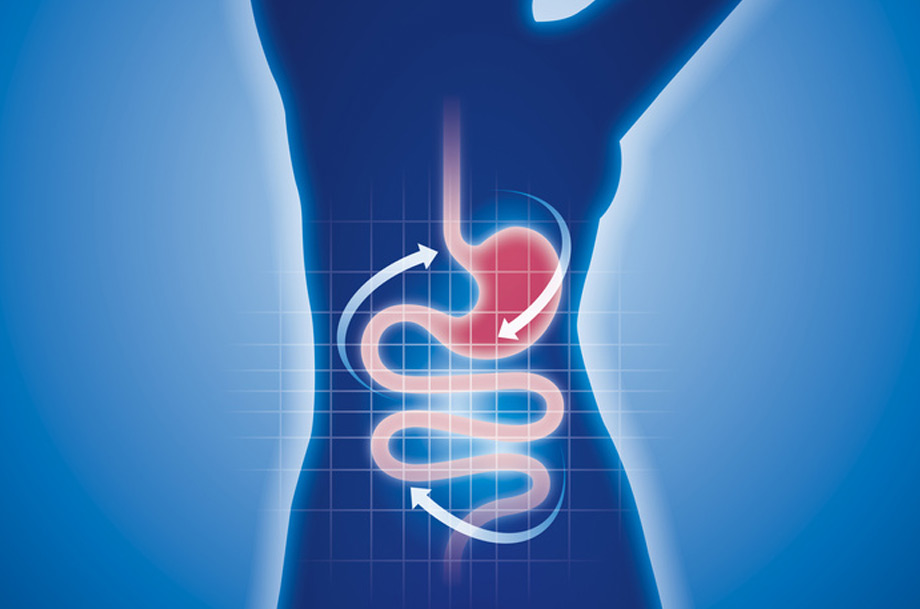 seminar-micobiom 2.0-health-horizon-wiesbaden