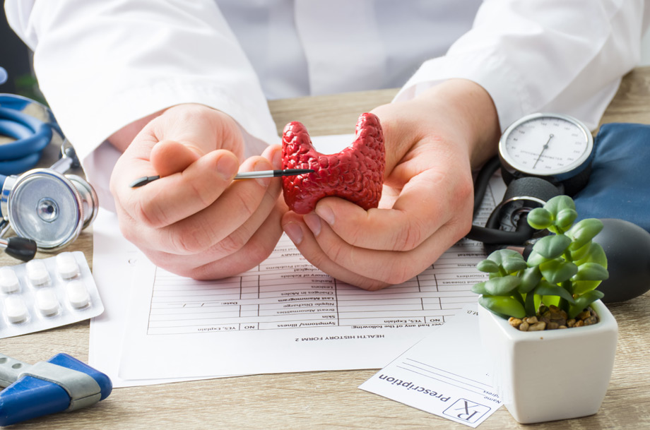 seminar-schilddruesenerkrankungen-health-horizon-wiesbaden