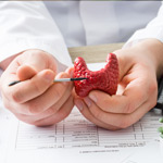 seminar-schilddruesenerkrankungen-health-horizon-wiesbaden