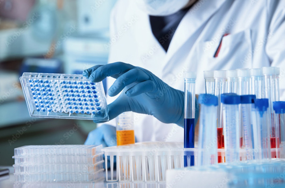 seminar-labordiagnostik-2-health-horizon-wiesbaden